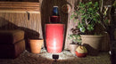 Alliance Outdoor Lighting Bluetooth LED Flood Light, Color Changing, Aged Brass (FL50-BT)