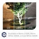WAC Lighting LED 12V Medium Accent Light, Adjustable Beam, 2700K, Bronze on Solid Brass (5011-27BBR)