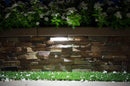 Alliance Outdoor Lighting LED Ledge and Step Light, 2700K, Aged Brass (SL75-LED)