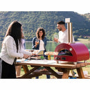 ALFA Mordeno Portable Outdoor Pizza Grill Oven, Stainless Steel