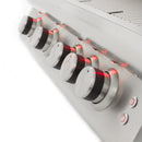 Blaze Premium LTE 32-Inch 4-Burner Built-in Natural Gas Grill with Rear Infrared Burner & Grill Lights - BLZ-4LTE2-NG