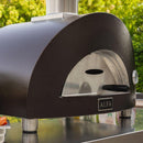 ALFA One Nano Portable Wood Fire Pizza Oven